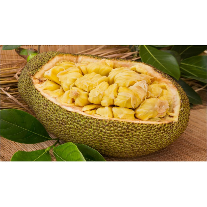 Jackfruit/Katahal Ripe (1 Lb)