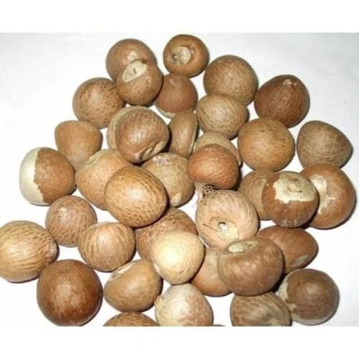 KLG Plain Supari/Arecanut/Betelnut Whole (5 Pcs)