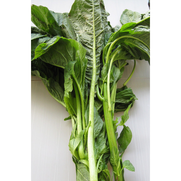 Callaloo/Thotakura/Amaranth/Tandaljo (1 Bunch)