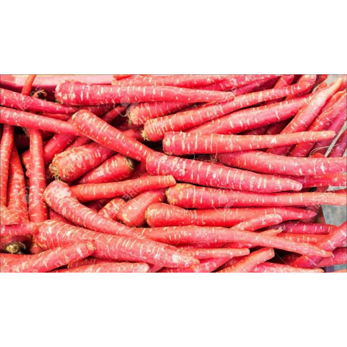 Carrots Indian Desi Red (1 Lb)