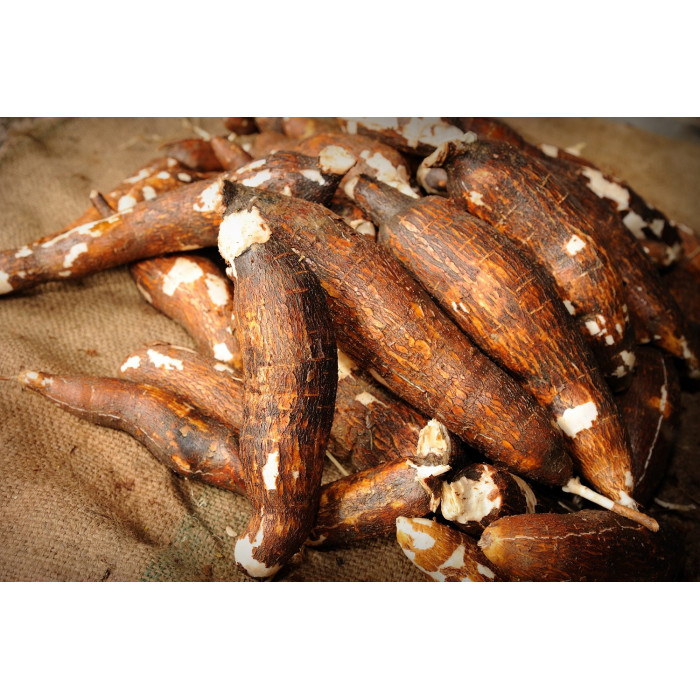 Cassava/Yuca/Simla Alu (1 Lb)