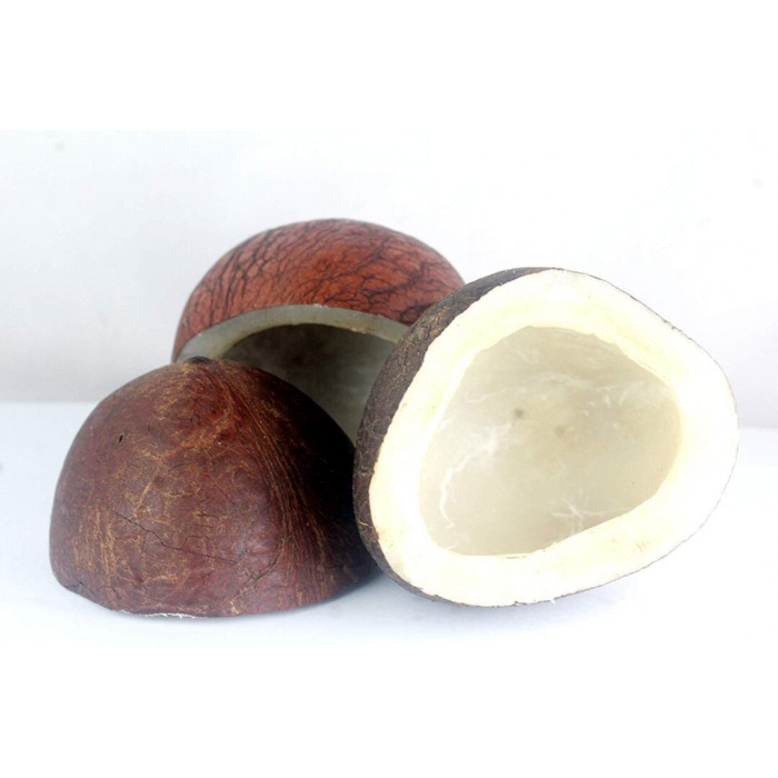 Dry Coconut/Copra Half (1 Pc)