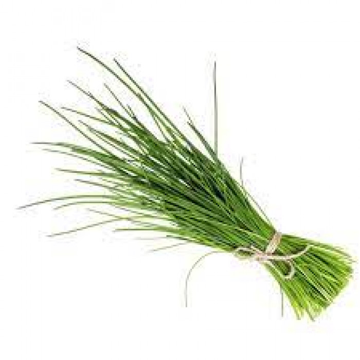 Durva Grass For Pooja/Puja Fresh (1 Bunch)