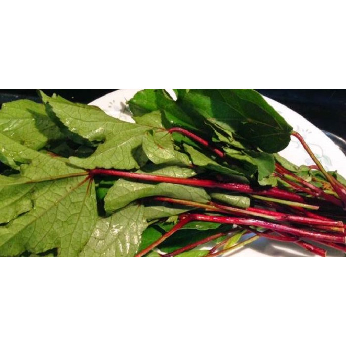 Gongura/Ambadi/Pulichakeerai/Hibiscus Leaves (1 Bunch)