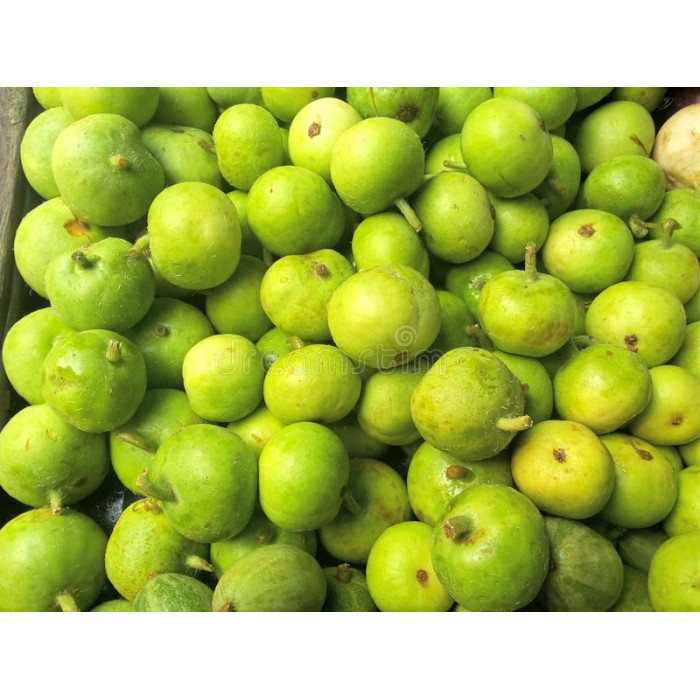 Tinda Round Punjabi Indian (1 Lb)