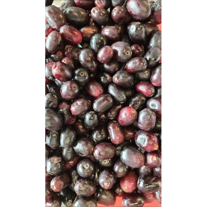 FRESH Jamun Black Fruit (1 Lb)
