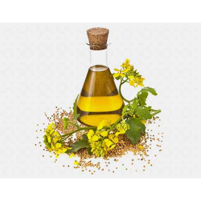 MALKANI Tarameera/Bitter Mustard Oil (60 mL)
