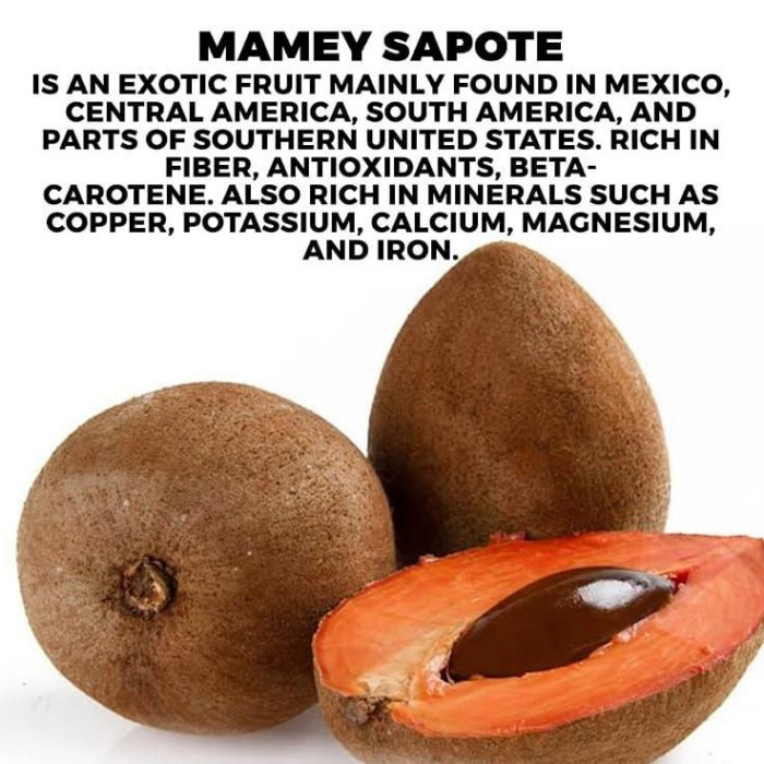 MAMEY Sapote/Sapodilla (1 Lb)
