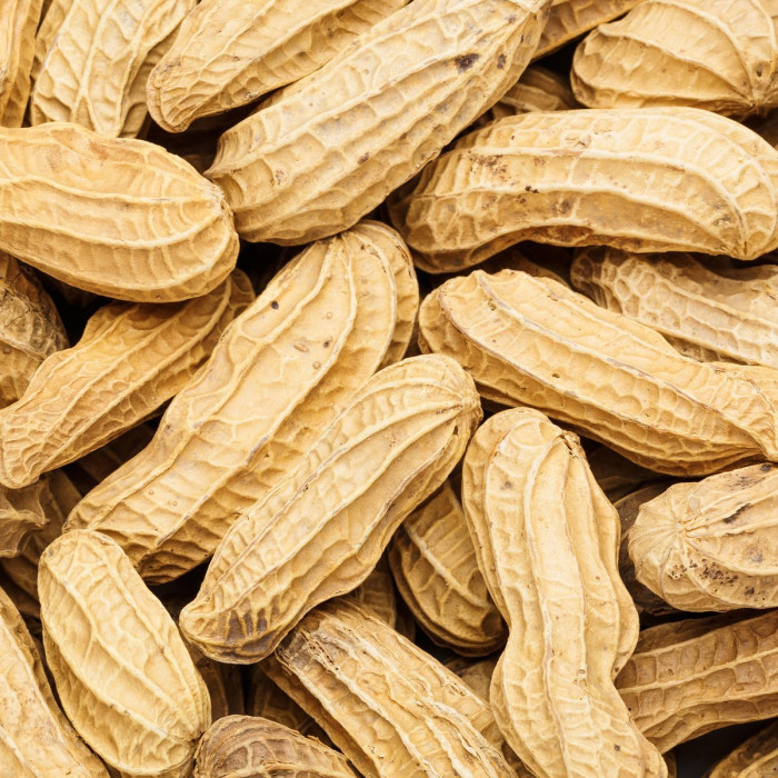 Peanut Moongfali With Shell (1 Lb)