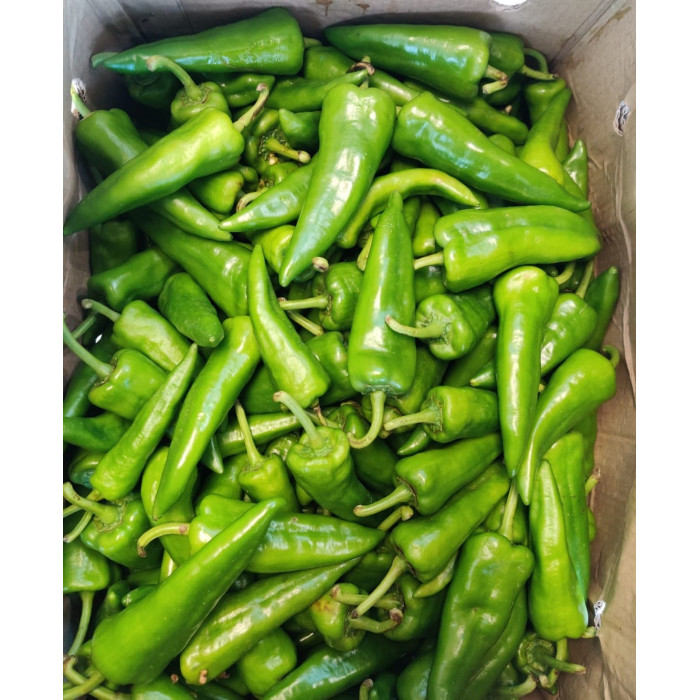 Pakora Chilli Big Green (1 Lb)