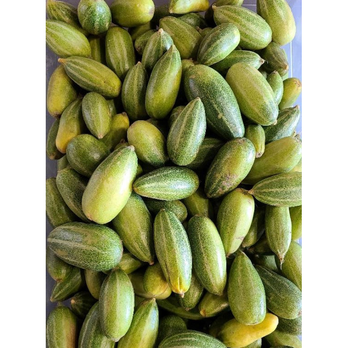 Parval/Parwal/Pointed Gourd Fresh (1 Lb)
