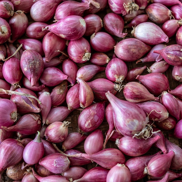 Shallots/Indian Baby Madras Onions (1 Lb)