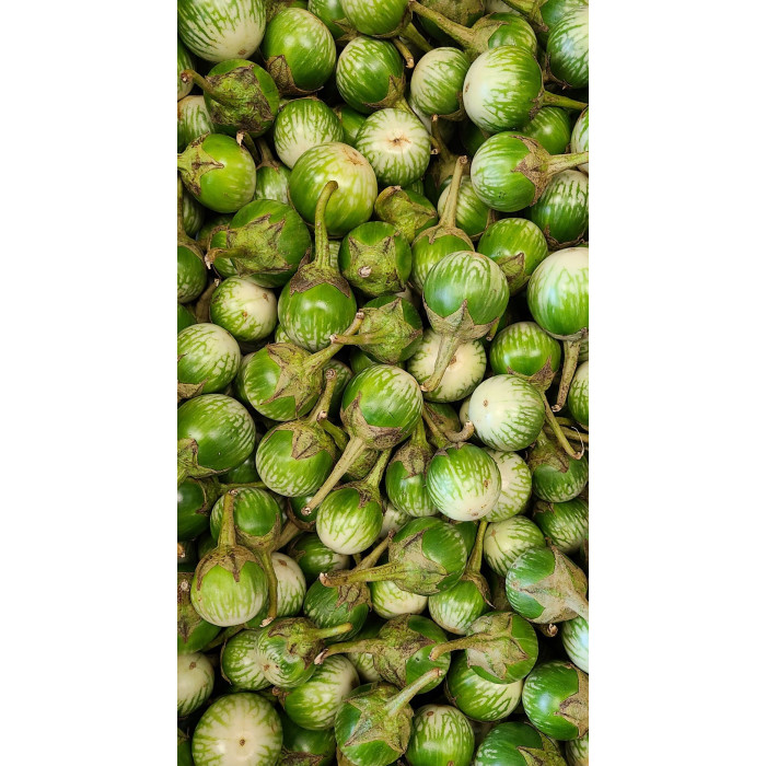 Thai Eggplant Green (1 Lb)