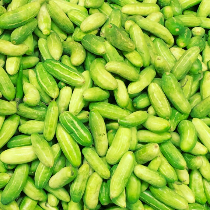 Tindora/Dondakaya (1 Lb)