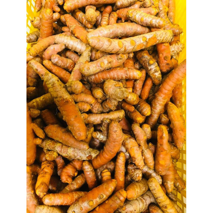 Turmeric Fresh/Yellow Haldi (1 Lb)